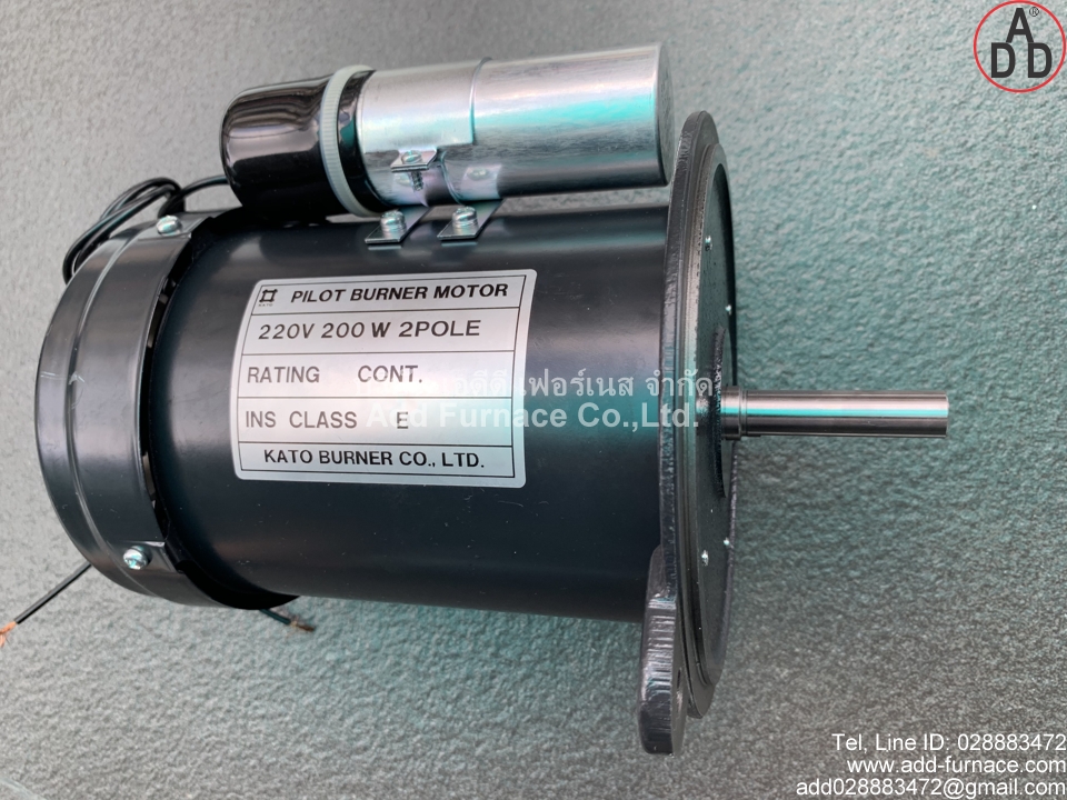 Pilot Burner Motor 220V 200W 2Pole (5)